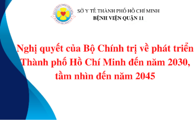 Nghị quyết của Bộ Chính trị về phát triển Thành phố Hồ Chí Minh đến năm 2030, tầm nhìn đến năm 2045